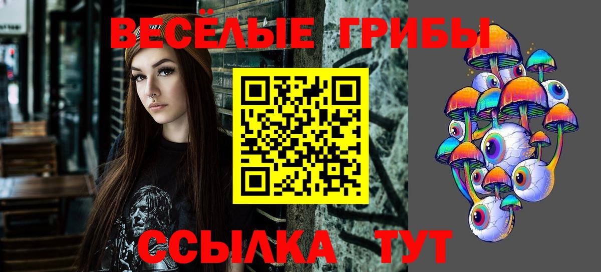 Галлюциногенные грибы Psilocybe Димитровград