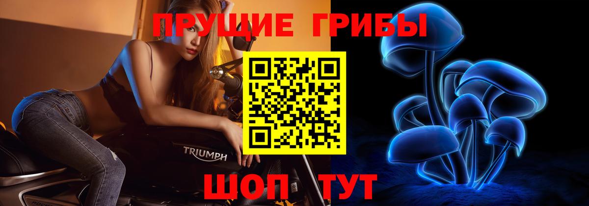 Псилоцибиновые грибы Psilocybe  Вход с VPN  Димитровград 